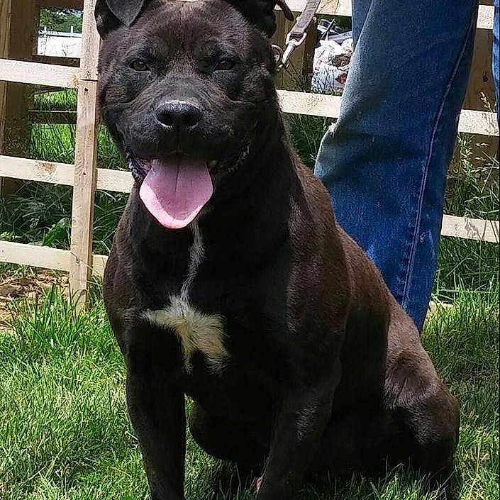 Onyx
