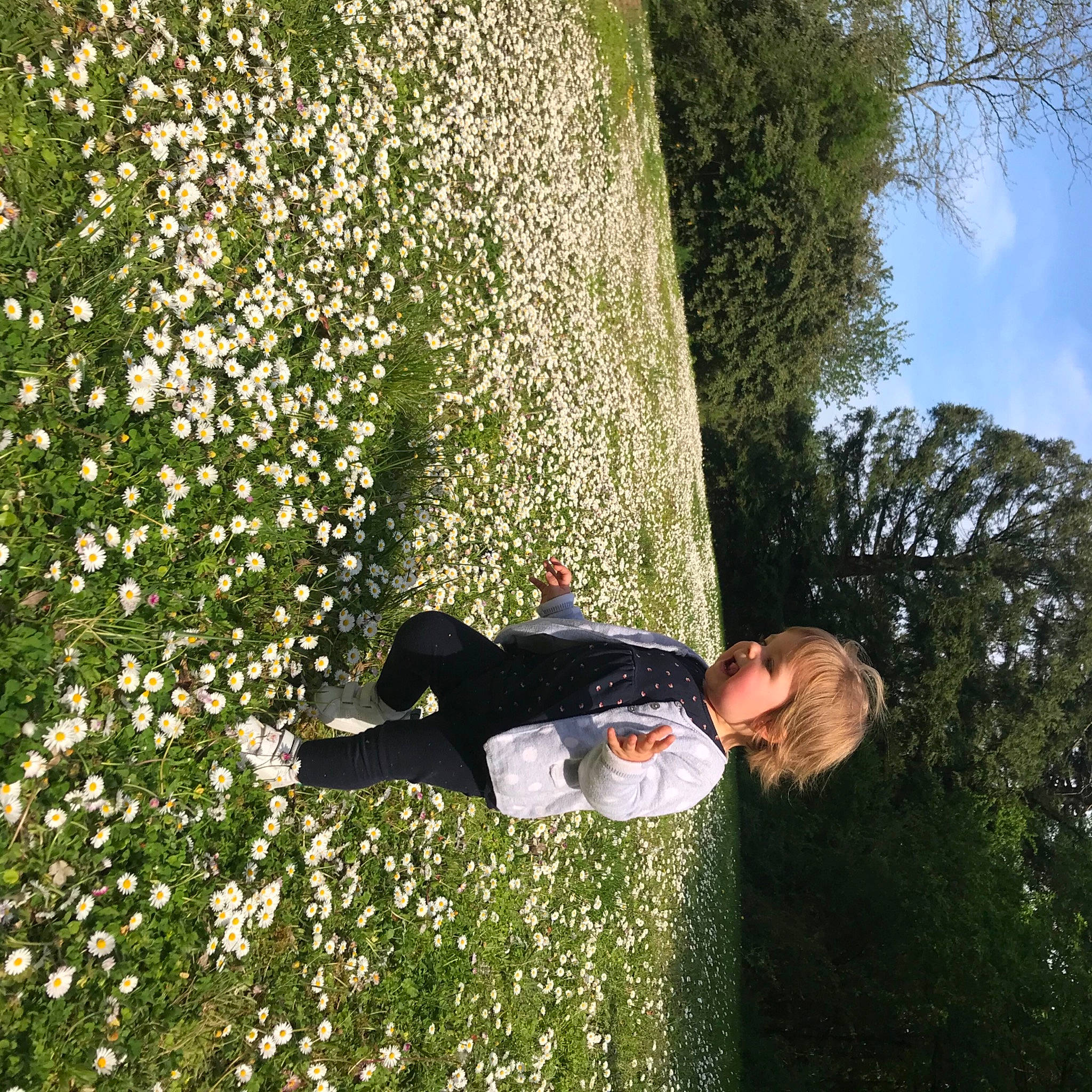 April a rejoint le concours — aidez-le/la à gagner de superbes lots ! botany, cloud, flower, garden, grass, grass_family, grassland, groundcover, happy, lawn, leisure, meadow, people_in_nature, person, plant, recreation, shrub, sky, tree, vegetation
