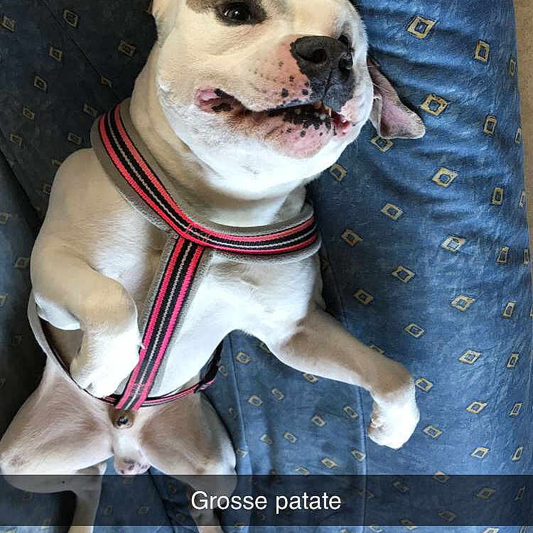 Junkee