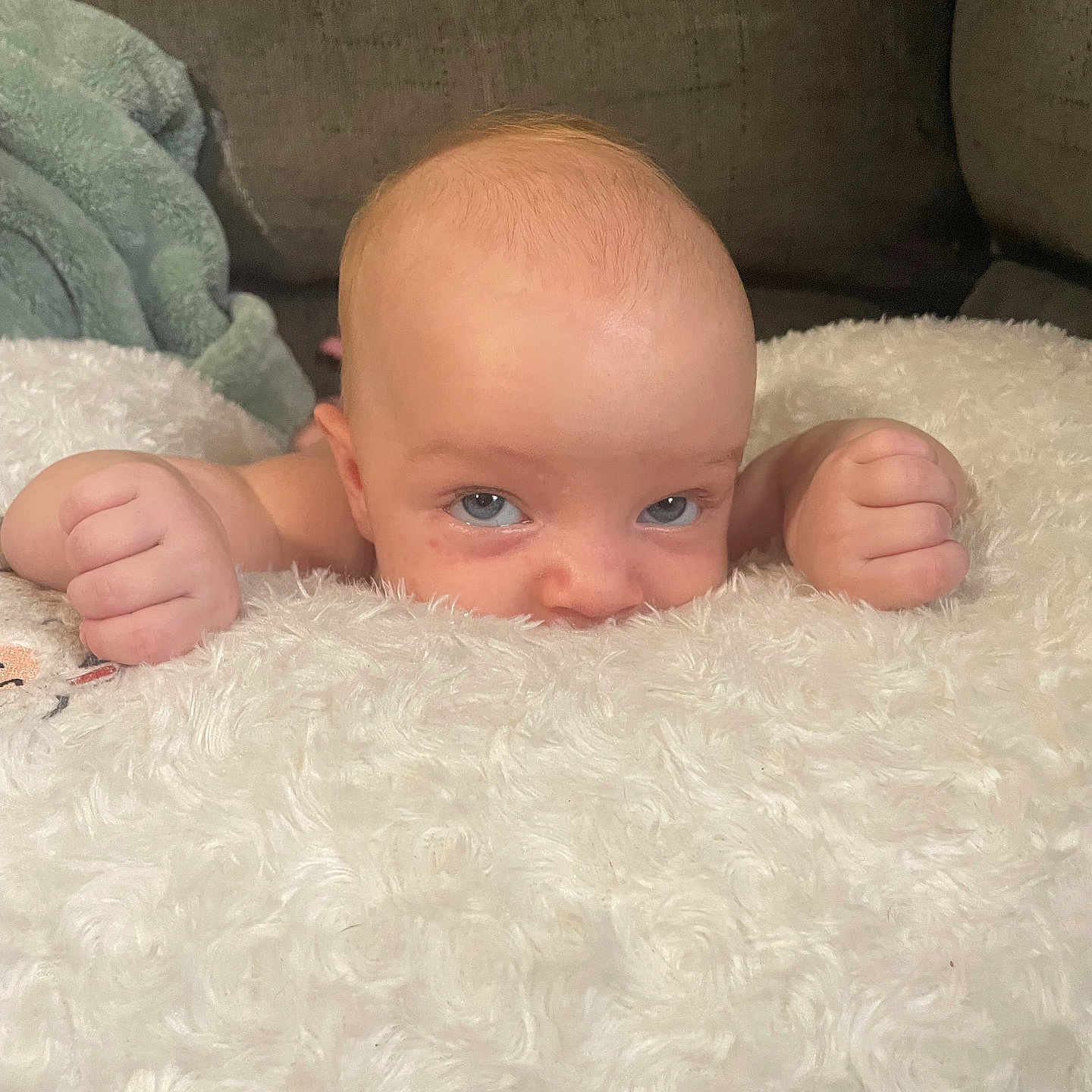 Ezra joined the competition — help win amazing prizes! baby, bed, blanket, bodypart, couch, cushion, face, finger, furniture, hand, happy, head, homedecor, newborn, person, photography, portrait, quilt, sitting, smile