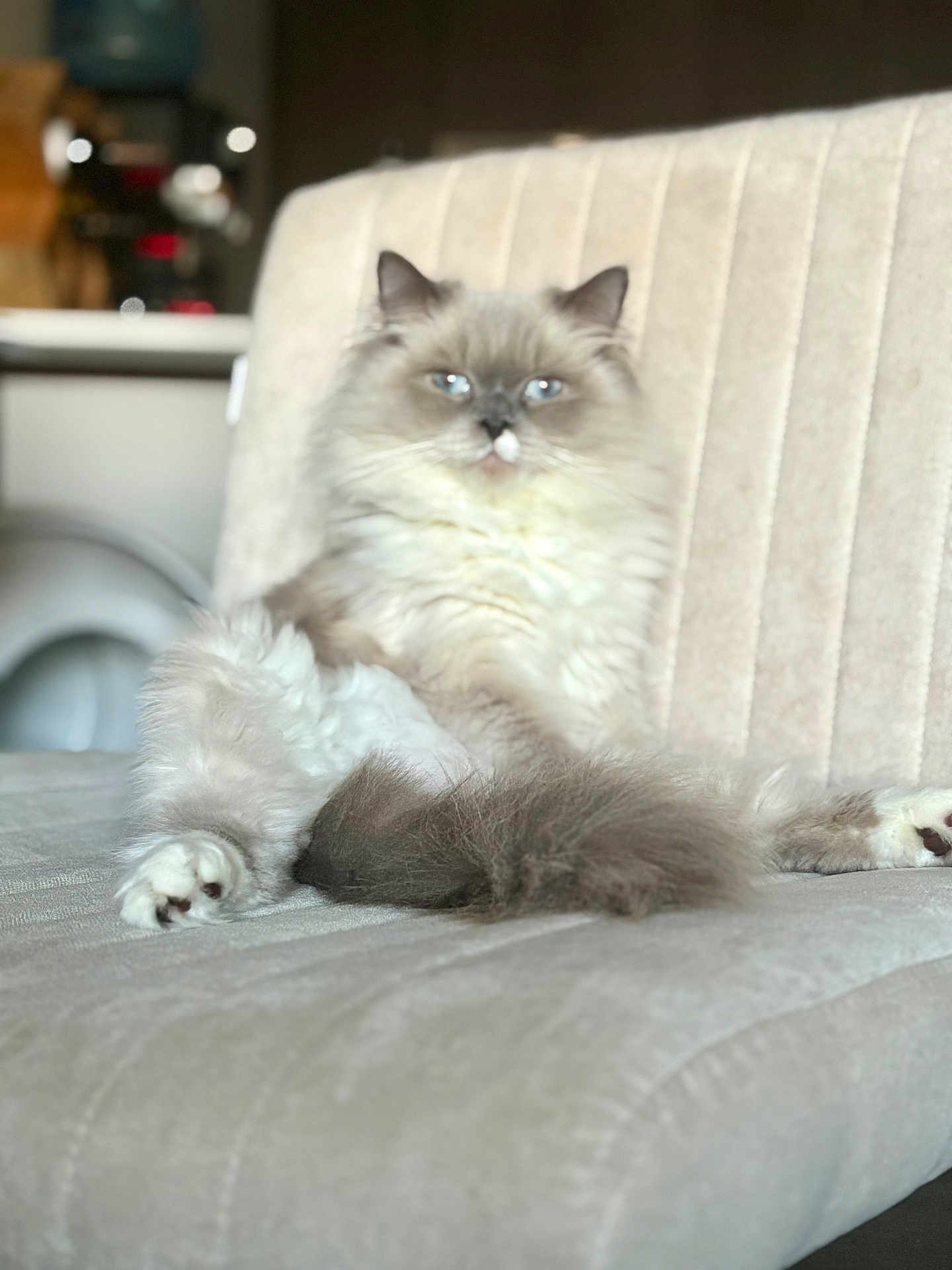 Louie