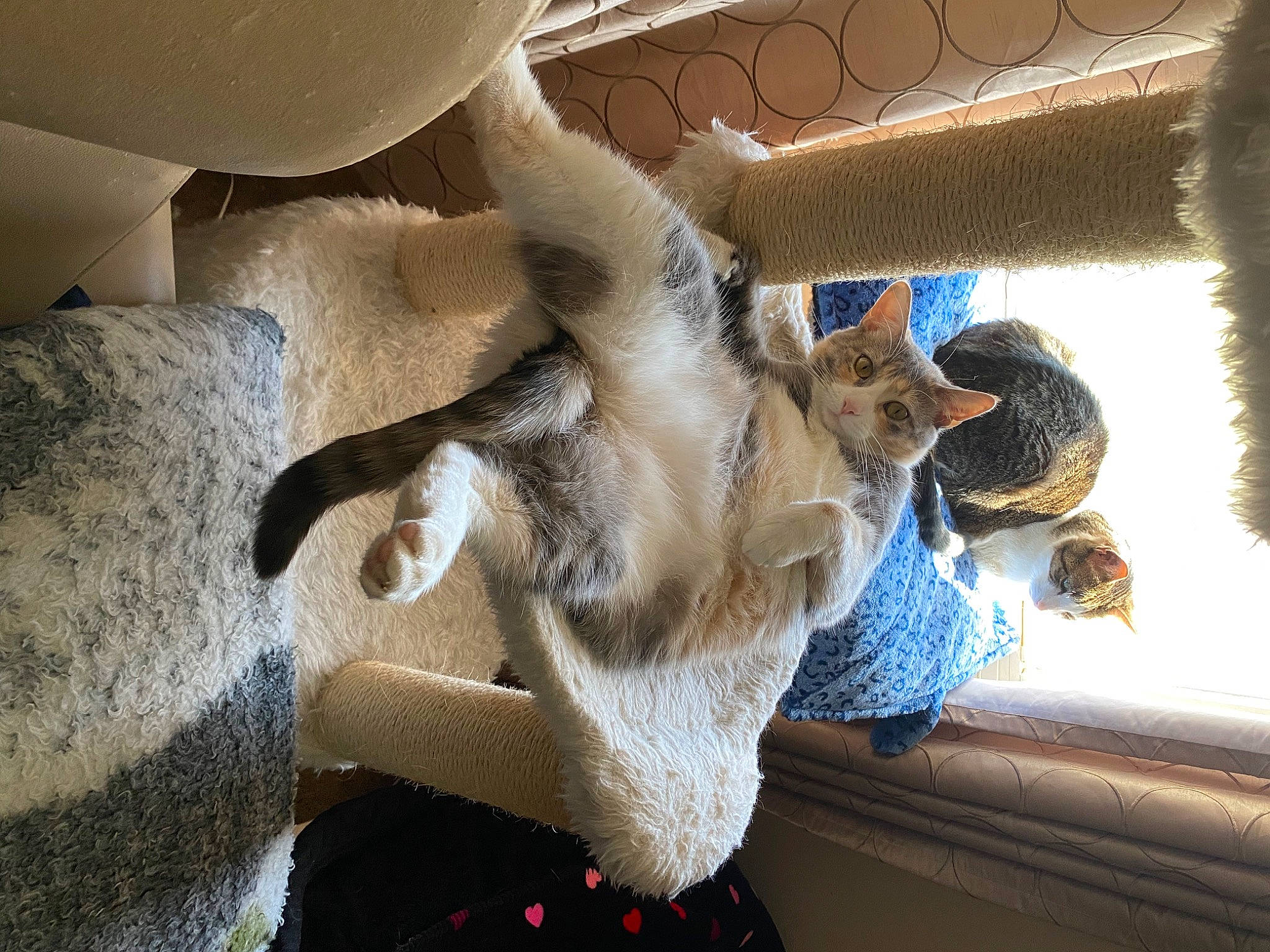 Chloe