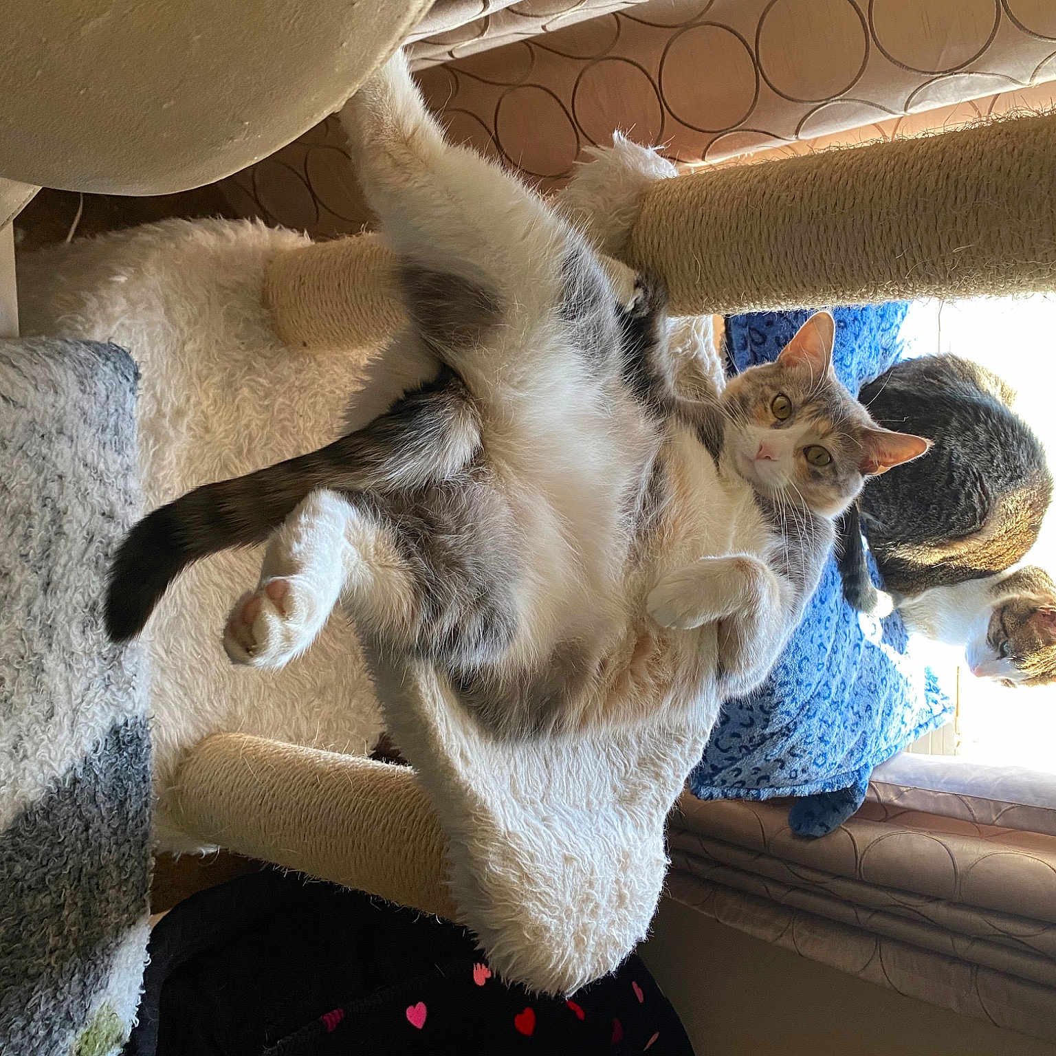 Chloe