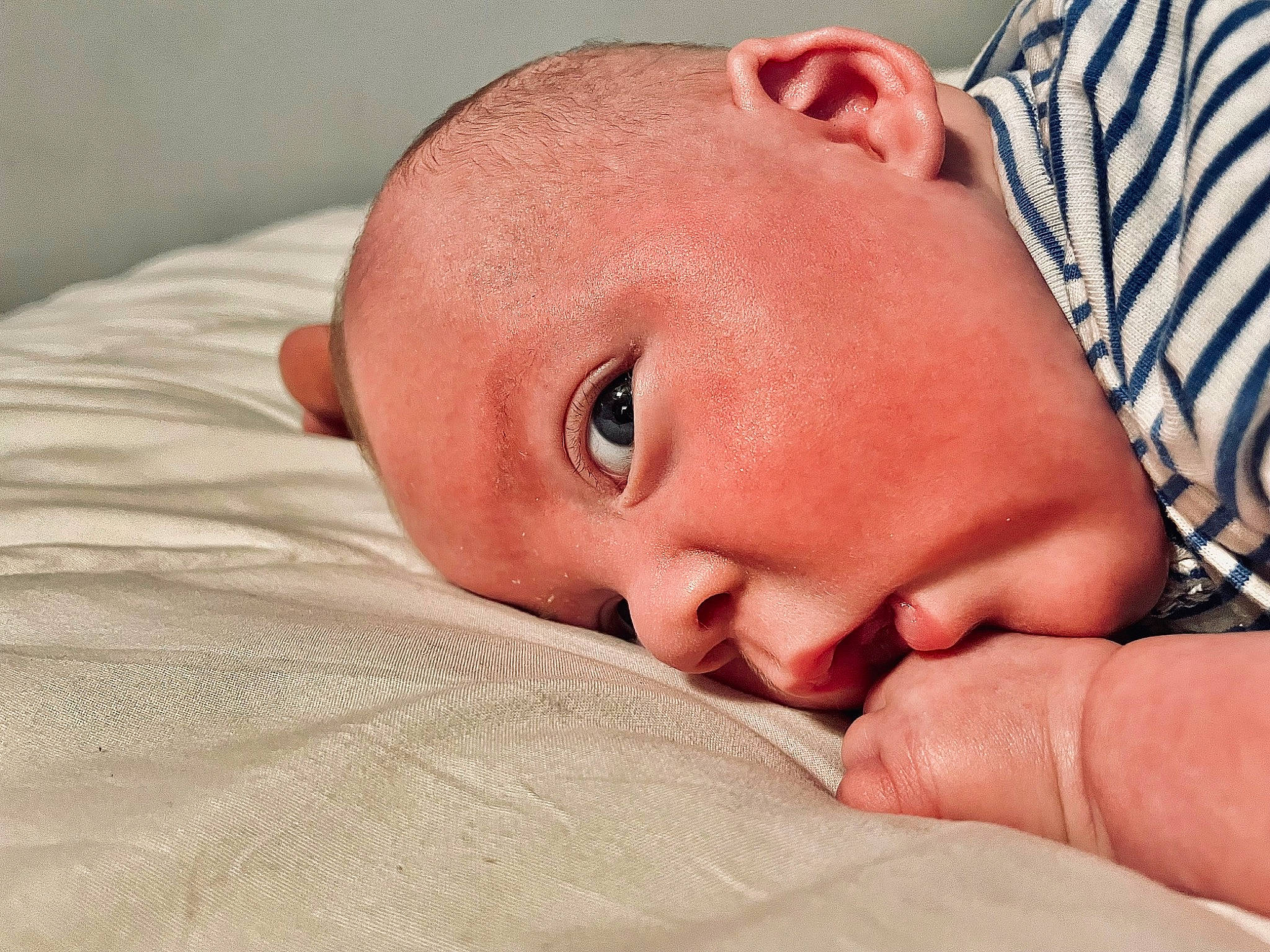 Anthony joined the competition — help win amazing prizes! baby, baby_sleeping, bedding, bedtime, cheek, child, close_up, comfort, ear, event, eyebrow, eyelash, linens, mouth, nap, nose, person, room, skin, toddler