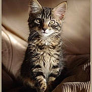 Bidibule participe au concours pour gagner de l'argent avec cette photo :