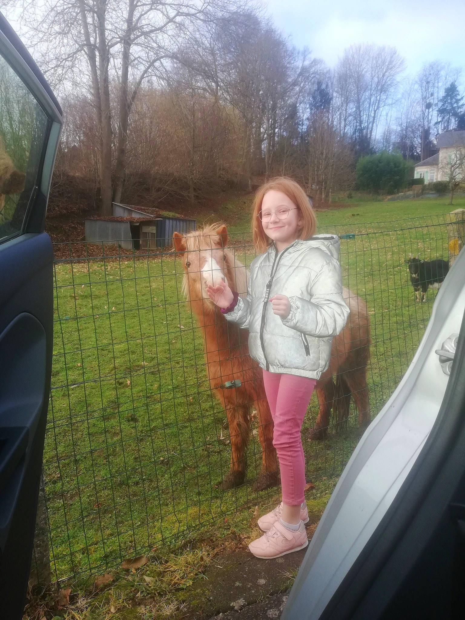 Shelsea participe au concours pour gagner de l'argent avec cette photo : companion_dog, eye, fun, grass, grass_family, happy, joy, leaf, leg, leisure, morning, people_in_nature, person, plant, recreation, sky, smile, toddler, tree, vehicle_door