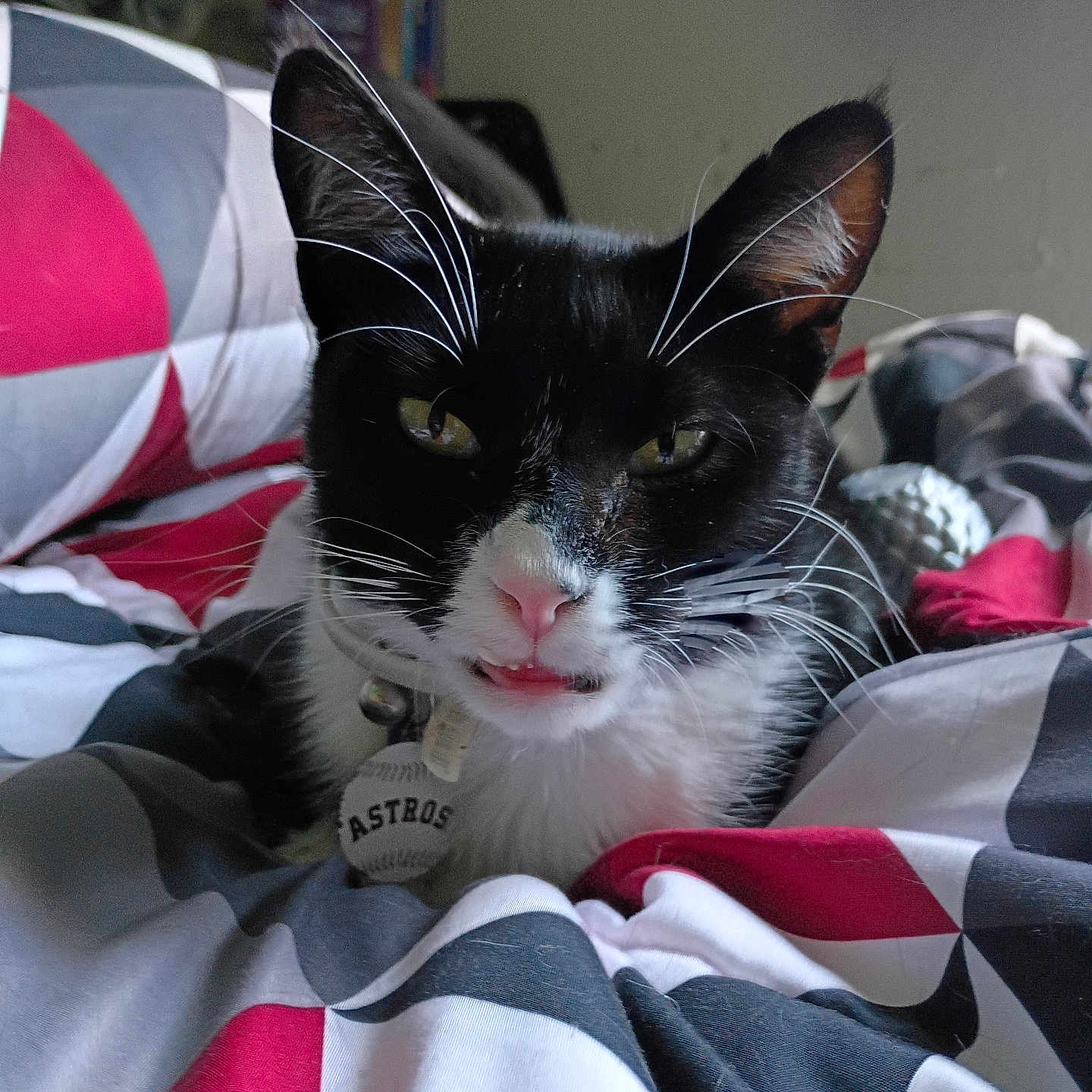 Oreo
