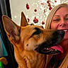 dog, german_shepherd, person, smile, tongue_out, close_up, indoor, christmas_decorations, holiday, happy, blonde_hair, face, pet, festive, red_ornaments, lights, portrait, animal, canine, warm