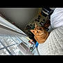 cat, ginger_cat, indoor, window, blinds, bed, quilt, furniture, room, wall_decor, poster, vinyl_records, clothing, table, cup, natural_light, cozy, pet, domestic, relaxed
