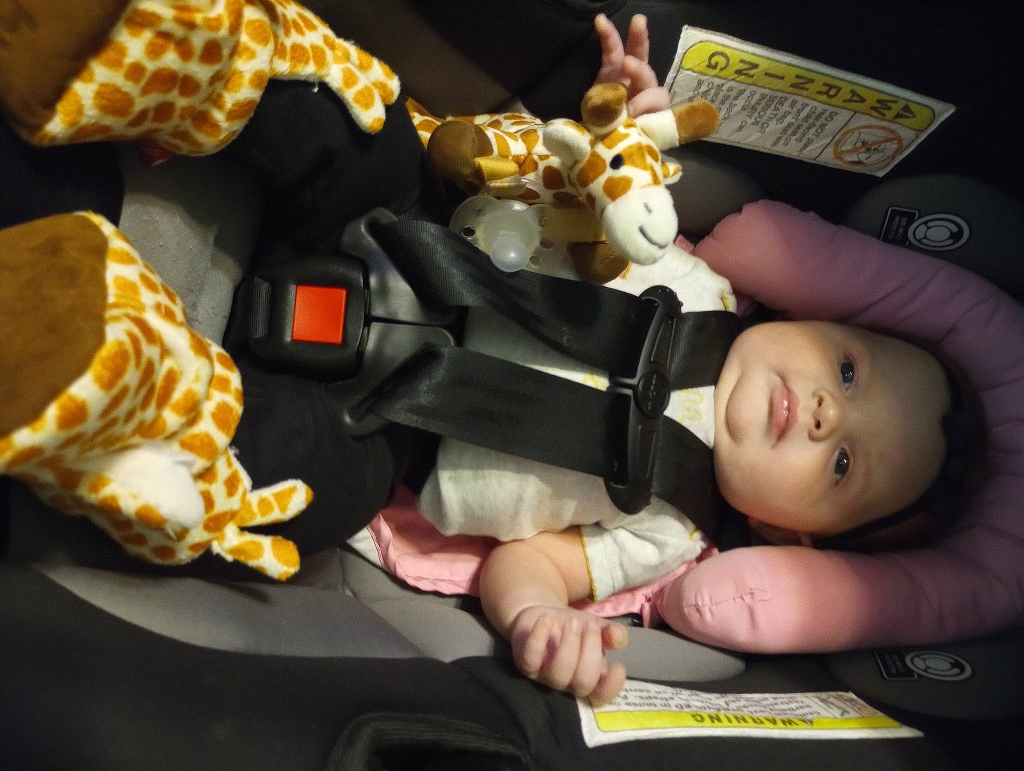 Aubrey is registered to the contest to win money with this photo: baby, baby_products, car_seat, child, doll, event, fashion_accessory, fictional_character, finger, fun, hand, headwear, jewellery, junk_food, lap, person, sitting, stuffed_toy, suit, toddler