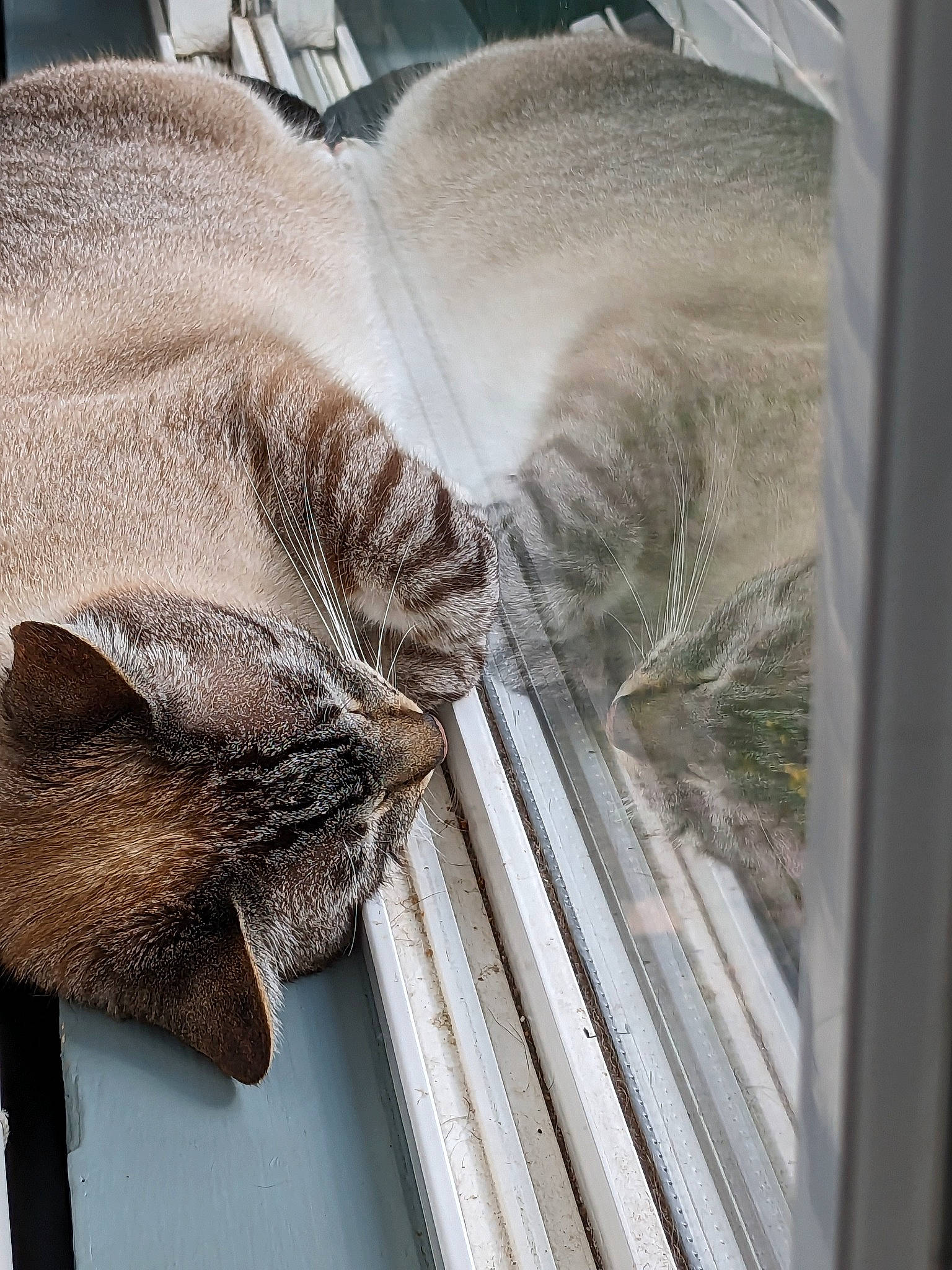 Alex joined the competition — help win amazing prizes! art, bag, bedding, comfort, fashion_accessory, feather, flooring, fur, glass, grey, linens, metal, pattern, room, still_life_photography, thread, visual_arts, wood, wool, woven_fabric