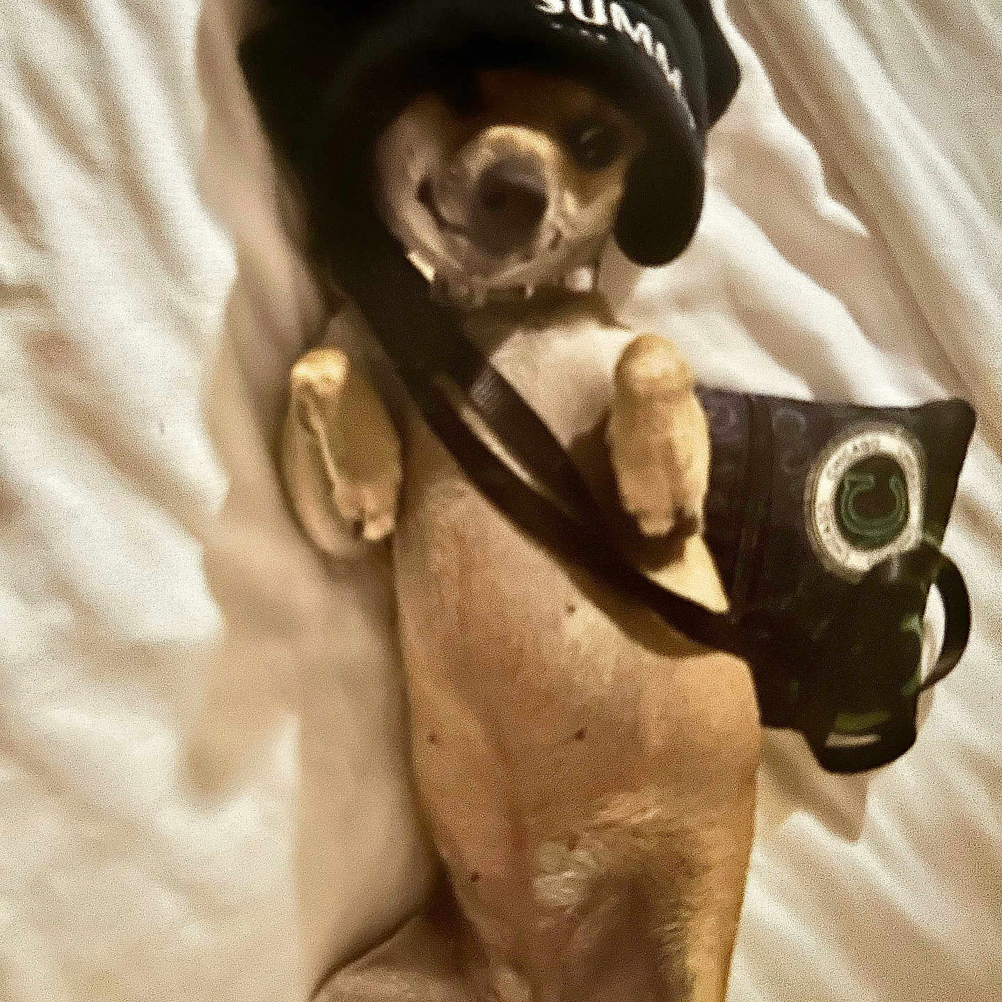 Lulu