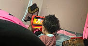 Zaniyah-Ann is registered to the contest to win money with this photo: adult, animation, bed, blanket, casual, child, coat, curly_hair, family, furniture, gray, home, indoor, person, pink, portrait, relaxed, tablet, technology, watching