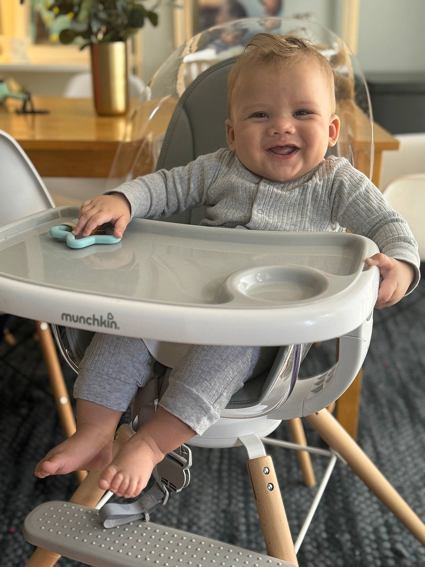 Kingston is registered to the contest to win money with this photo: adult, baby, chair, face, furniture, happy, head, highchair, male, man, person, plant, table