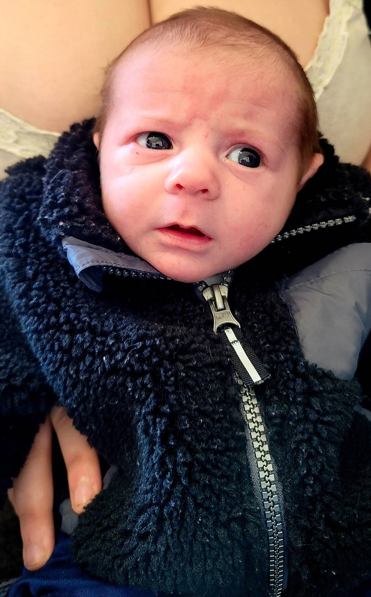 Ean is registered to the contest to win money with this photo: baby, baby_toddler_clothing, cheek, child, collar, comfort, electric_blue, fashion_accessory, finger, fur, gesture, head, iris, outerwear, person, skin, sleeve, textile, toddler, wool