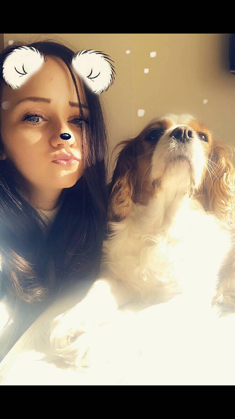 Bella is registered to the contest to win money with this photo: canidae, carnivore, cavachon, cavalier_king_charles_spaniel, chinese_imperial_dog, companion_dog, dog, dog_breed, fawn, japanese_chin, king_charles_spaniel, lhasa_apso, long_hair, person, phalene, photography, puppy, puppy_love, shih_tzu, toy_dog