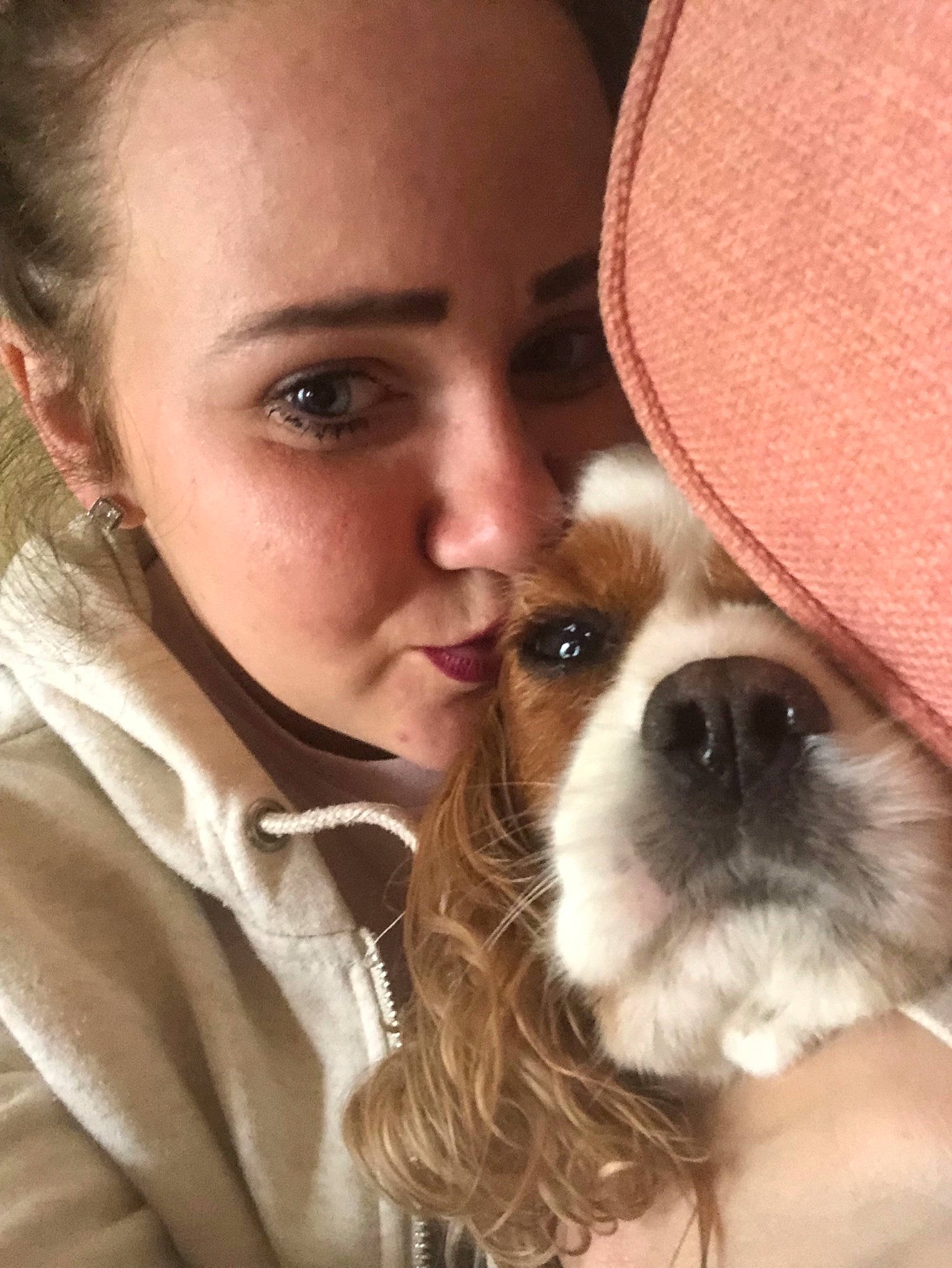 Bella joined the competition — help win amazing prizes! canidae, carnivore, cavalier_king_charles_spaniel, companion_dog, dog, dog_breed, ear, fawn, king_charles_spaniel, nose, person, puppy, puppy_love, snout, sporting_group, toy_dog