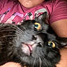 Winky is registered to the contest to win money with this photo: cat, black_cat, close_up, tongue_out, wide_eyes, person, pink_shirt, text_on_shirt, indoor, pet, animal, funny, blurry, selfie, holding, face_not_visible, fur, whiskers, cute, confused