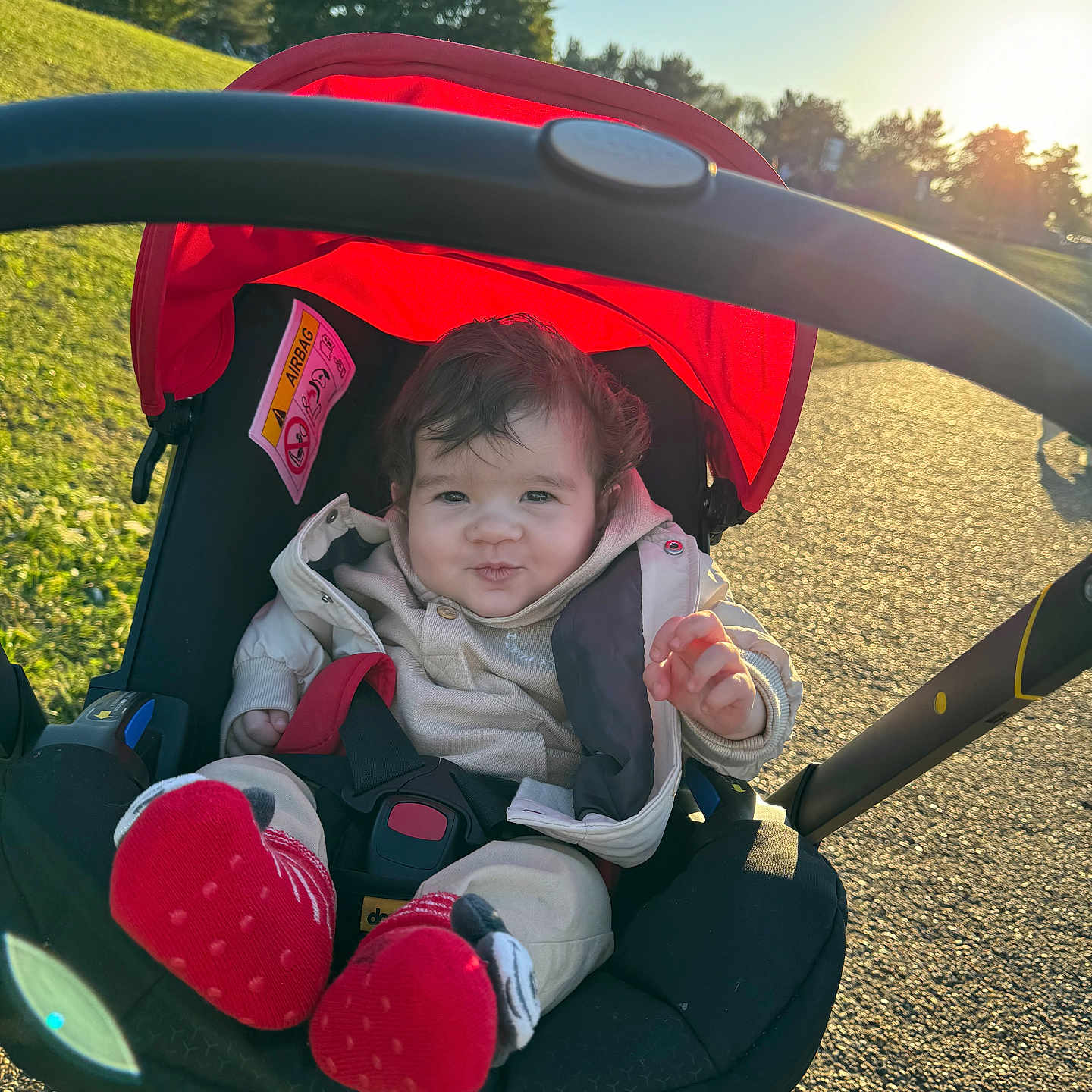 Angelo joined the competition — help win amazing prizes! accessories, baby, bodypart, clothing, coat, face, grass, head, jacket, jewelry, nature, outdoors, park, person, photography, plant, portrait, ring, stroller, tree