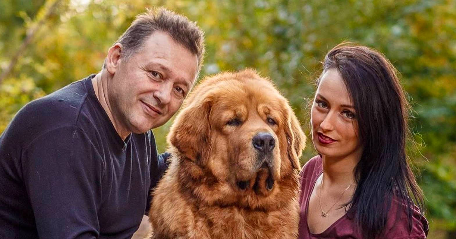 Jamkpo a rejoint le concours — aidez-le/la à gagner de superbes lots ! companion_dog, dog, dog_breed, dog_breed_group, dog_like_mammal, giant_dog_breed, golden_retriever, joy, nova_scotia_duck_tolling_retriever, person, snout, sporting_group