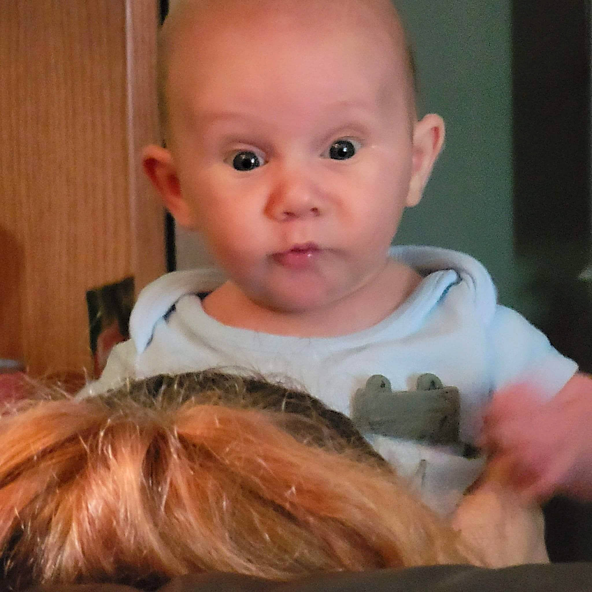 Gerald is registered to the contest to win money with this photo: baby, baby_toddler_clothing, cheek, ear, eye, eyebrow, eyelash, finger, gesture, hair, happy, human_body, iris, lip, liver, mouth, neck, nose, person, skin