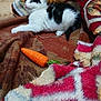 kitten, cat, black_and_white, toy_carrot, blanket, cozy, indoor, feline, pet, fur, playing, resting, animal, cute, young, soft, colorful, patterned_blanket, floor, domestic