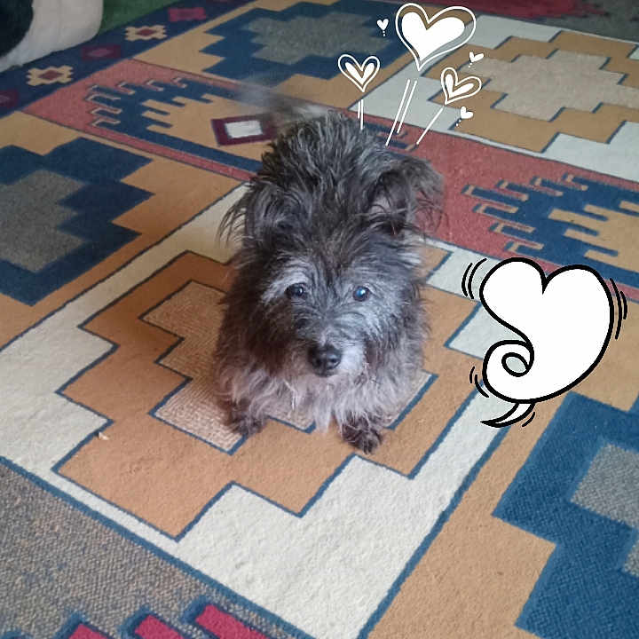 Lucymae