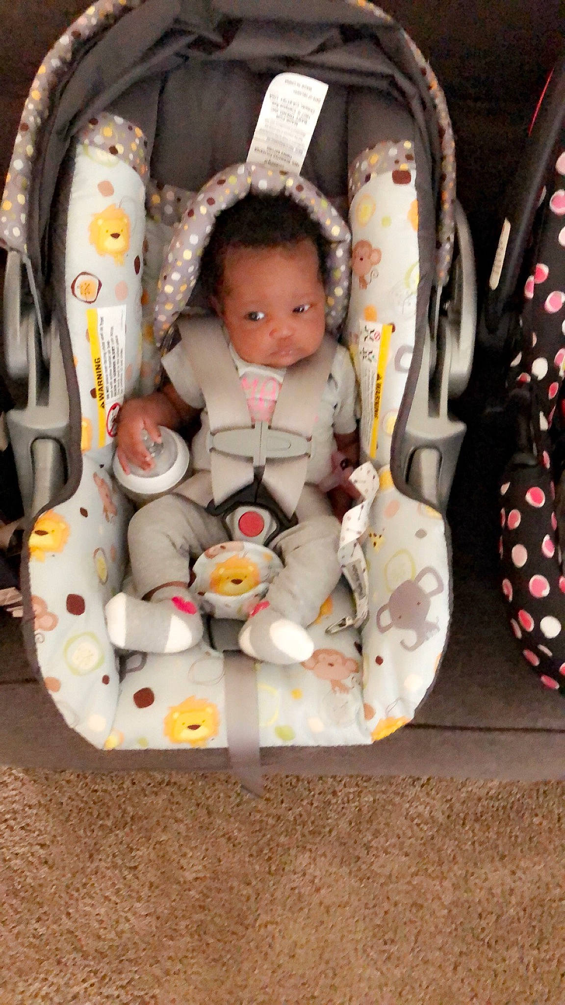 Xenia joined the competition — help win amazing prizes! baby, baby_carriage, baby_products, baby_toys, car_seat, child, person, product, toddler, toy