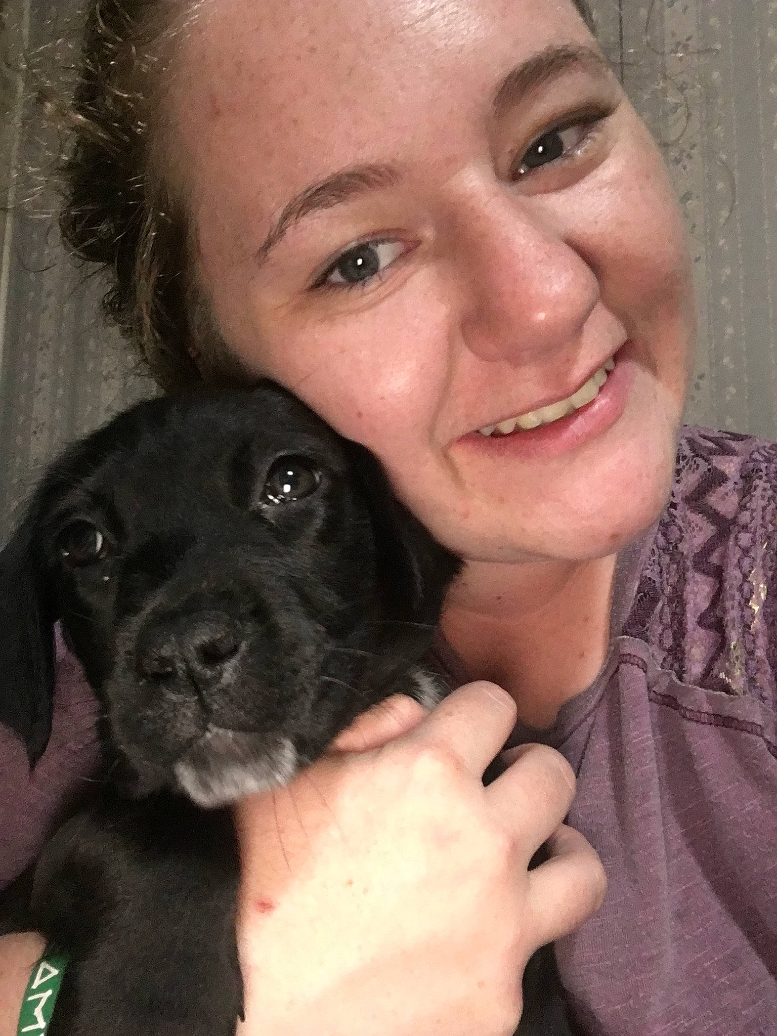 Vara joined the competition — help win amazing prizes! beagador, cane_corso, canidae, carnivore, companion_dog, dog, dog_breed, fawn, labrador_retriever, nose, puppy, puppy_love, smile, snout, sporting_group