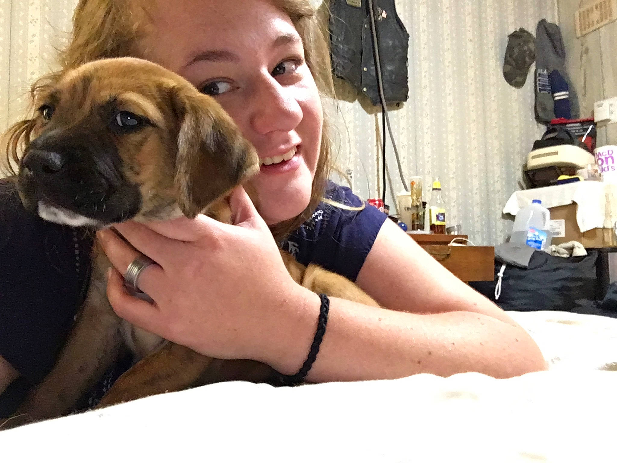 Tobias joined the competition — help win amazing prizes! black_mouth_cur, boerboel, broholmer, canidae, carnivore, companion_dog, dog, dog_breed, english_mastiff, fawn, fila_brasileiro, giant_dog_breed, guard_dog, mammal, puppy, puppy_love, snout, sporting_group, vertebrate