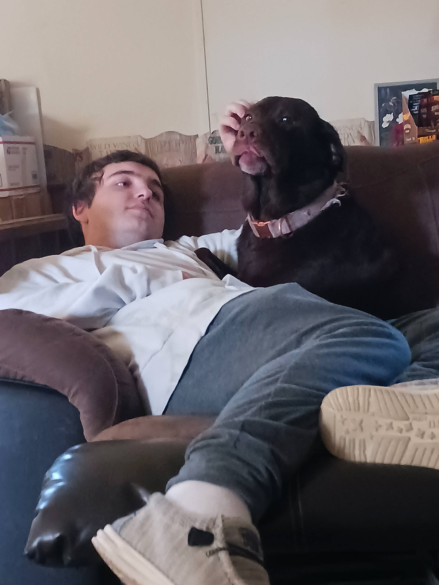 Hershey is registered to the contest to win money with this photo: brown_dog, casual_clothing, companion, couch, dog, domestic, footwear, furniture, gray_pants, home, indoor, labrador_retriever, leisure, living_room, man, person, pet, relaxing, seated, white_shirt
