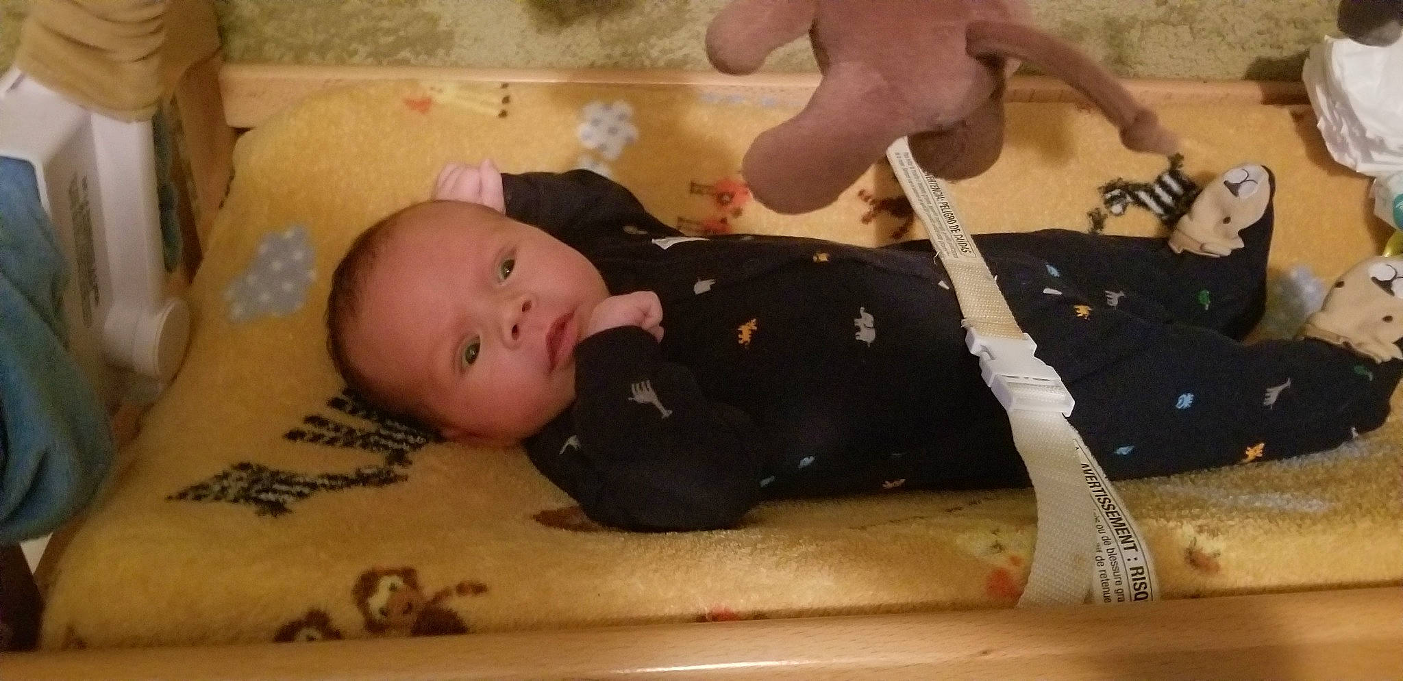 Maddux is registered to the contest to win money with this photo: baby, baby_products, child, person, product, toddler