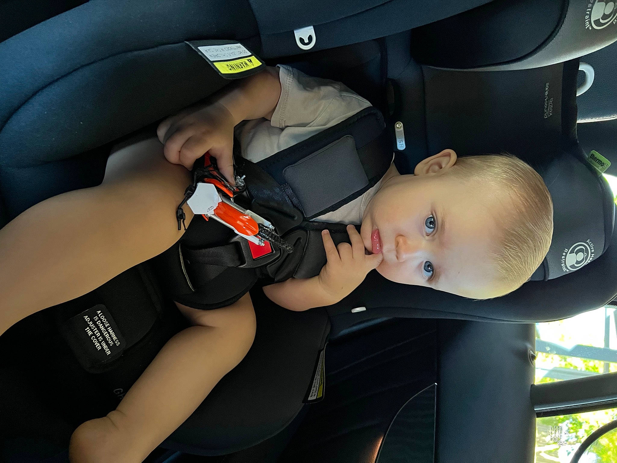 Ryder joined the competition — help win amazing prizes! arm, auto_part, automotive_design, automotive_exterior, automotive_tire, automotive_wheel_system, car_seat, comfort, elbow, flash_photography, gesture, hat, helmet, joint, motor_vehicle, person, personal_luxury_car, personal_protective_equipment, plant, sports_gear