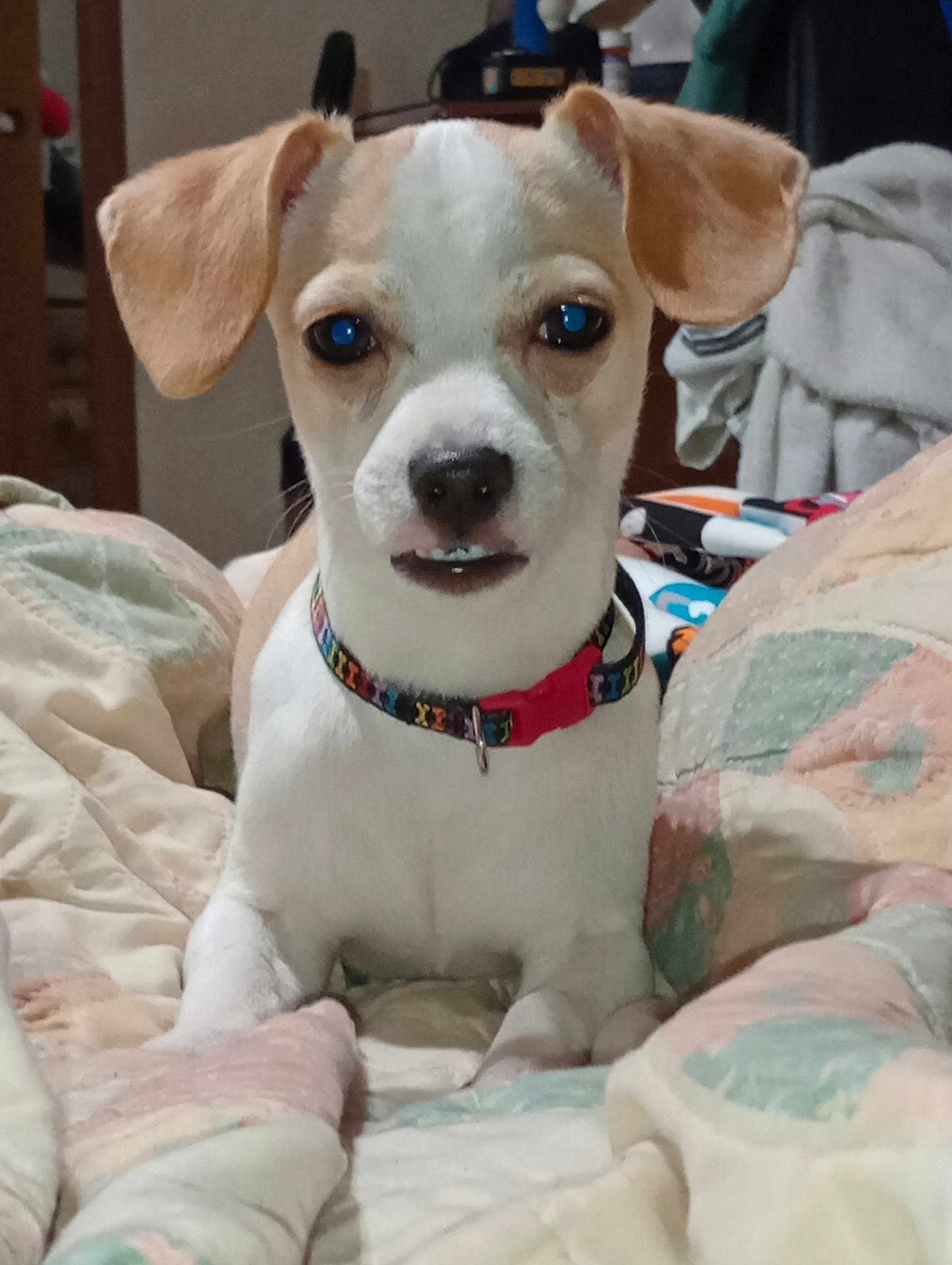 Baxter
