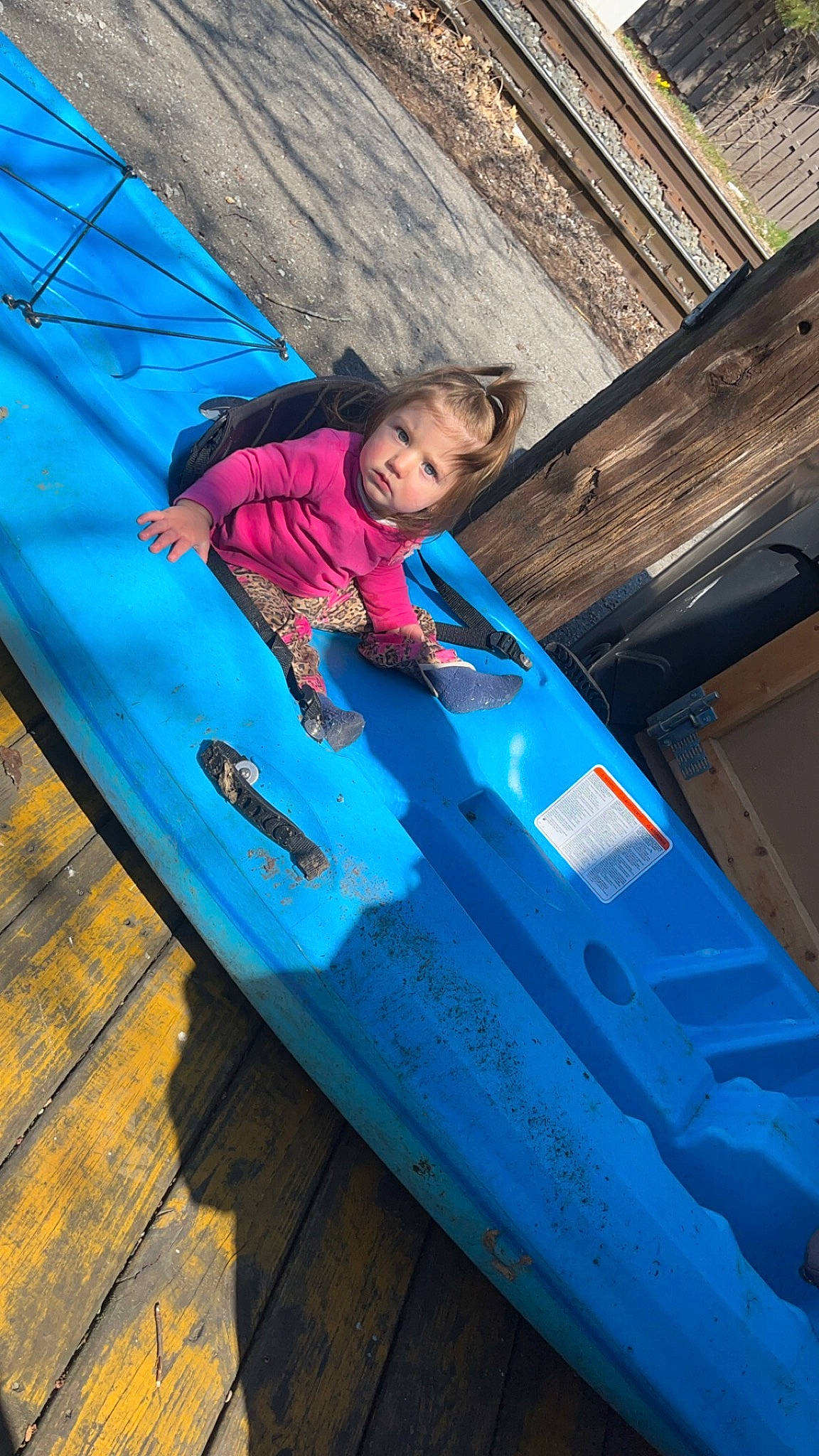 Aurora joined the competition — help win amazing prizes! adventure, automotive_exterior, blue, boats_and_boating_equipment_and_supplies, bumper, child, electric_blue, fun, inflatable, jacket, leisure, magenta, person, play, recreation, t_shirt, tent, toddler, tree, vehicle_door