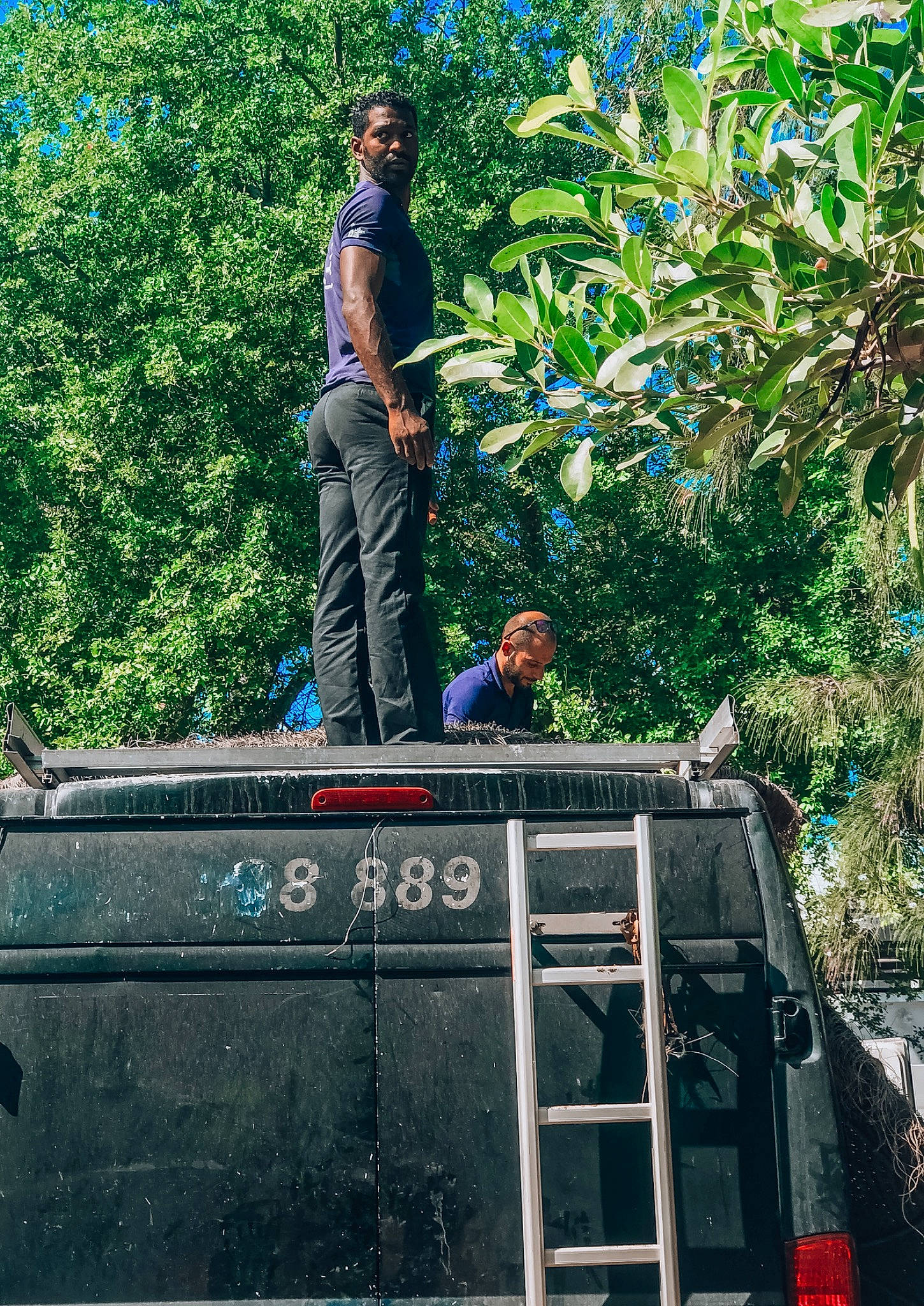 Emy participe au concours pour gagner de l'argent avec cette photo : asphalt, automotive_exterior, denim, fun, grass, jungle, leisure, motor_vehicle, person, plant, rolling, roof, shrub, sitting, soil, street, t_shirt, tourism, travel, tree