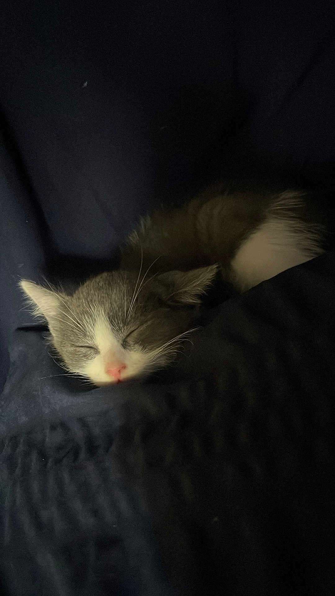 Mello