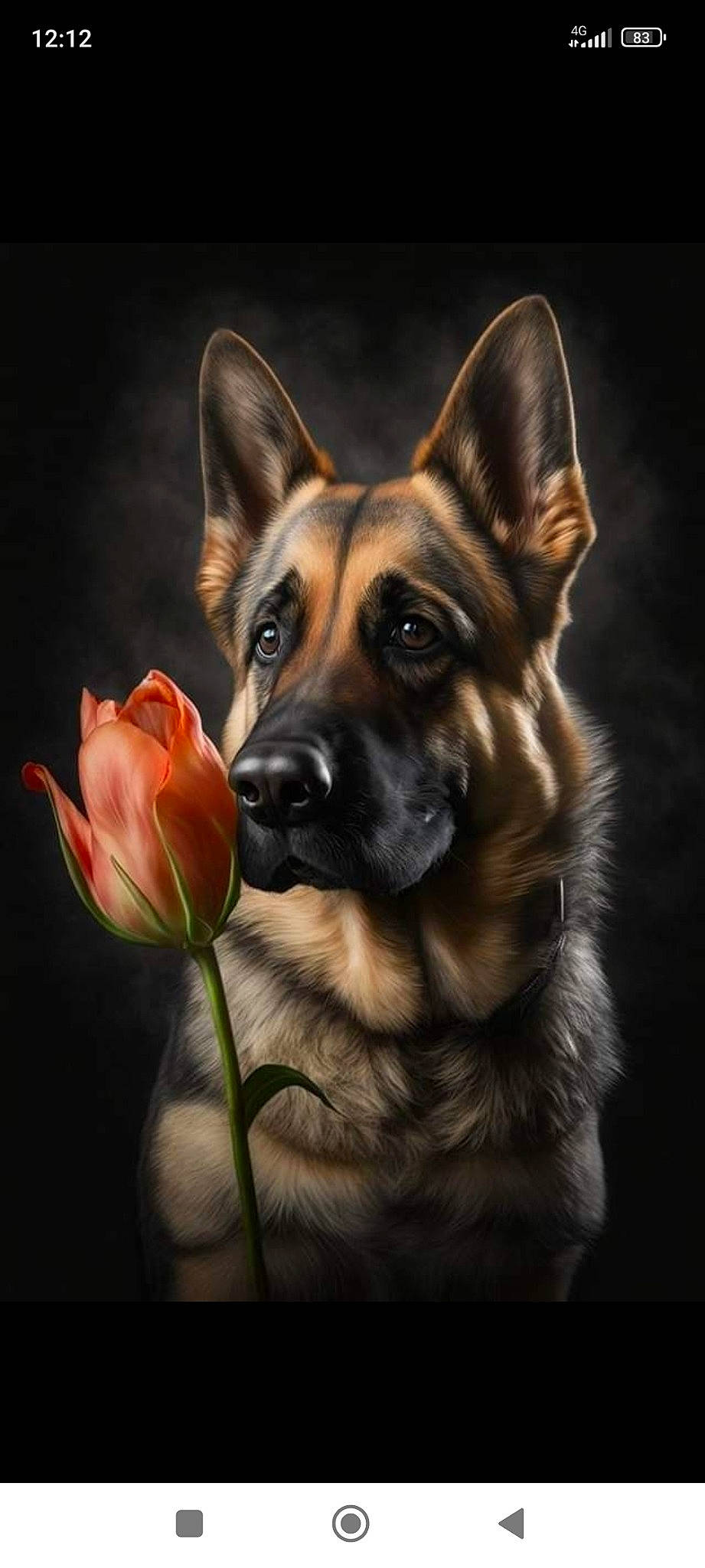 Pendora participe au concours pour gagner de l'argent avec cette photo : art, canidae, carnivore, companion_dog, darkness, dog, dog_breed, eye, fawn, flower, fur, guard_dog, petal, plant, snout, sporting_group, tree, whiskers, wildlife, window