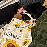 Hendrix is registered to the contest to win money with this photo: dog, person, sleeping, bed, blanket, sunflowers, sunshine, black_and_white, pet, cozy, indoors, bedroom, pillows, cuddling, resting, portrait, long_hair, face, textile, home