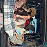 dog, pet, party_hat, polka_dots, car, vehicle, car_interior, trunk, road_trip, woman, person, blanket, pillow, stuffed_animal, pet_bag, outdoor, parking_lot, parked_cars, travel, portrait