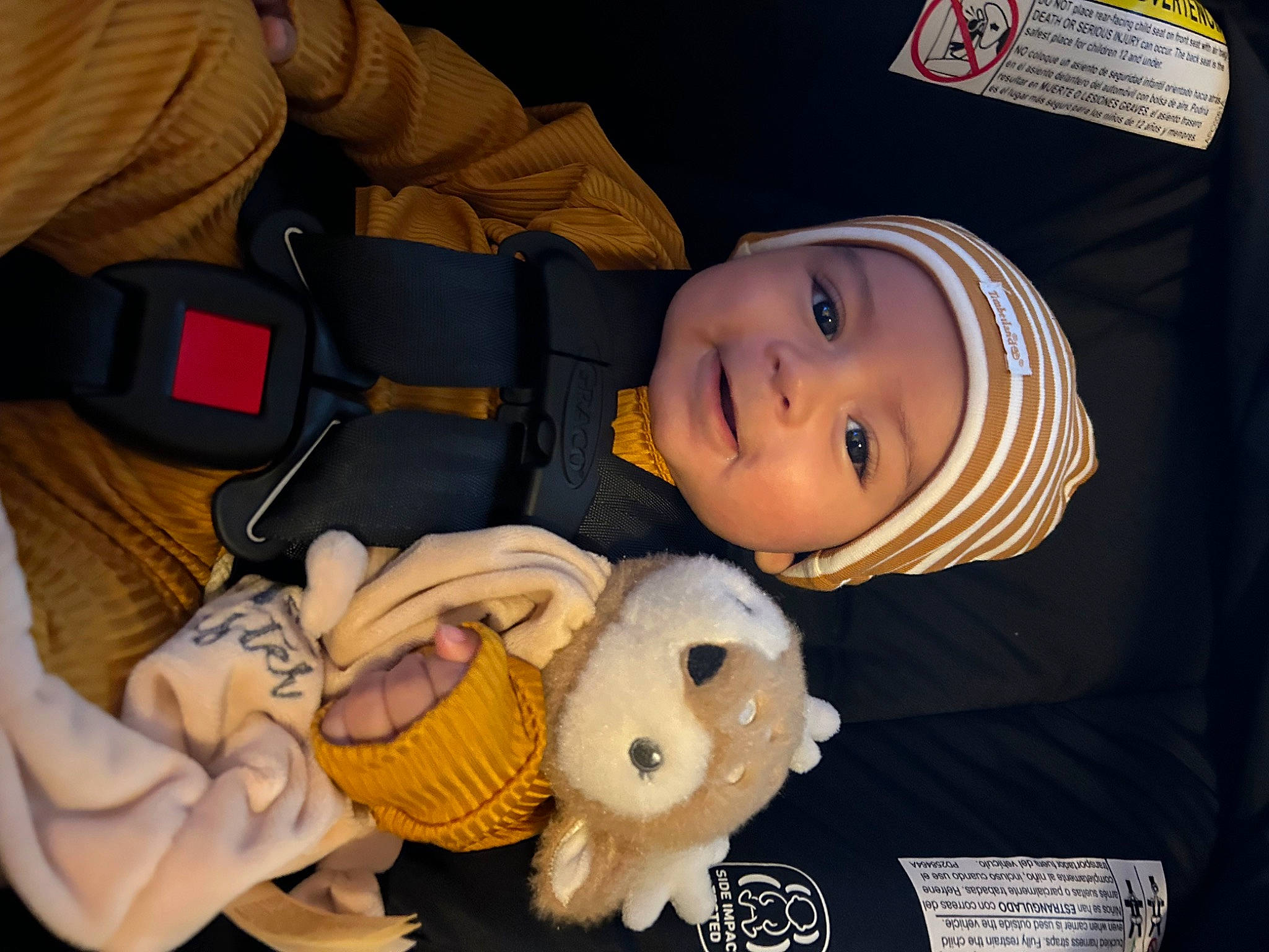 Noah is registered to the contest to win money with this photo: baby, car_seat, cheek, child, comfort, doll, eye, facial_expression, fun, fur, head, headgear, headwear, person, plush, product, room, stuffed_toy, textile, toddler