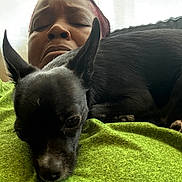 Bruno J joined the competition — help win amazing prizes! person, dog, black_dog, resting, green_shirt, close_up, indoor, relaxed, sleepy, pet, companion, window_light, casual, comfort, fur, ears, face, portrait, cozy, nap