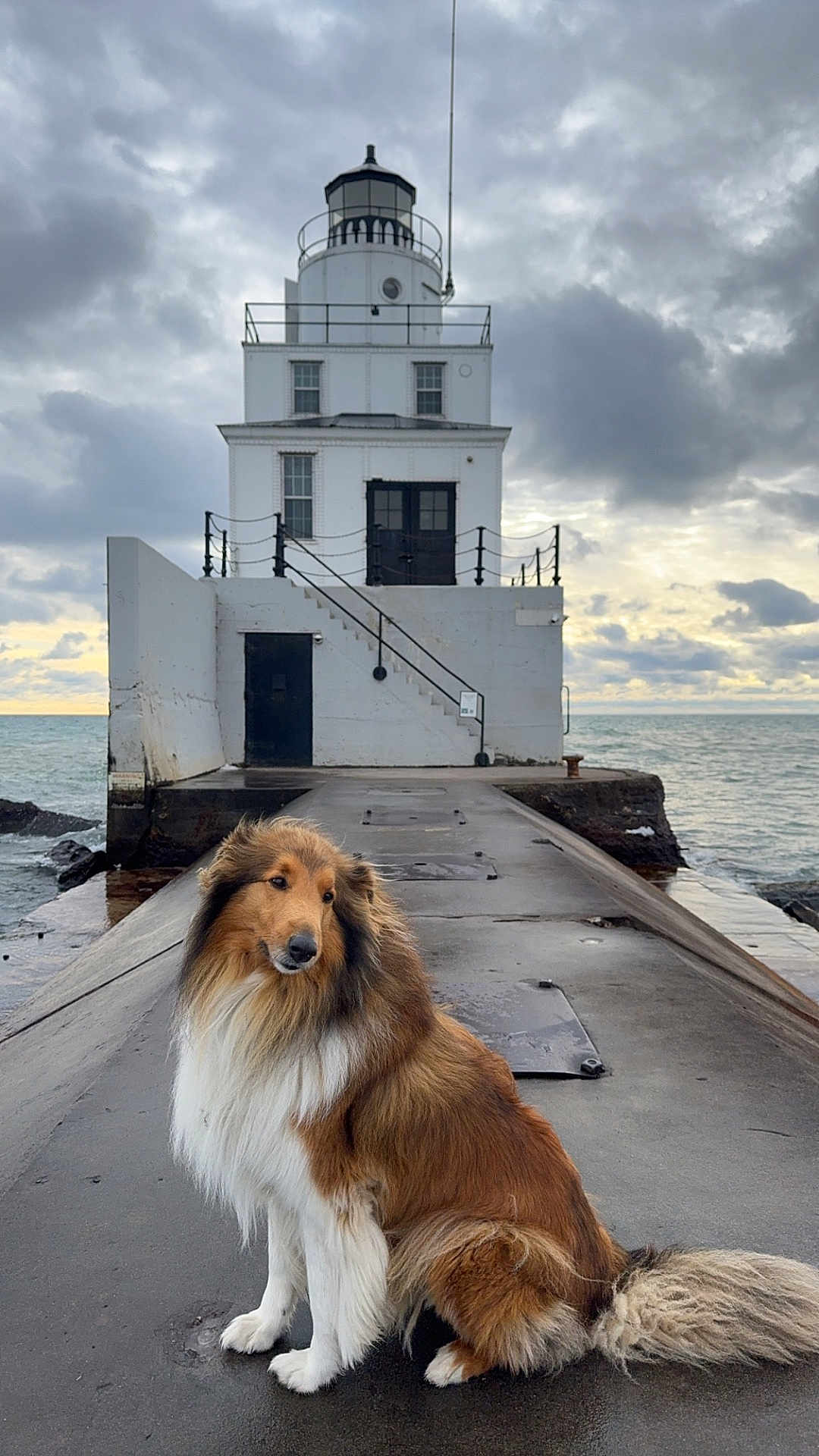 Cato is registered to the contest to win money with this photo: animal, calm, canine, cloudy_sky, coast, daylight, dog, fur, landscape, lighthouse, nature, ocean, outdoor, pier, quiet, scenic, sitting, sky, water, weather