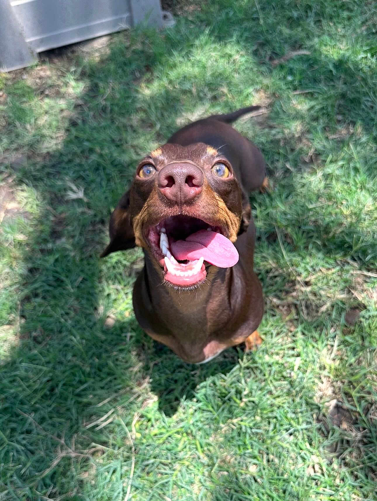 Milo