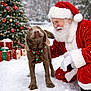 dog, santa_claus, snow, christmas_tree, presents, holiday, festive, winter, outdoor, red_suit, white_beard, jingle_bells, collar, smiling, decorations, glasses, white_gloves, snowfall, happy, celebration
