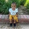 toddler, child, outdoor, greenery, plants, brick, shorts, white_shirt, sitting, curious, face, person, nature, casual_clothing, daylight, footwear, black_shoes, sidewalk, expression, young_child