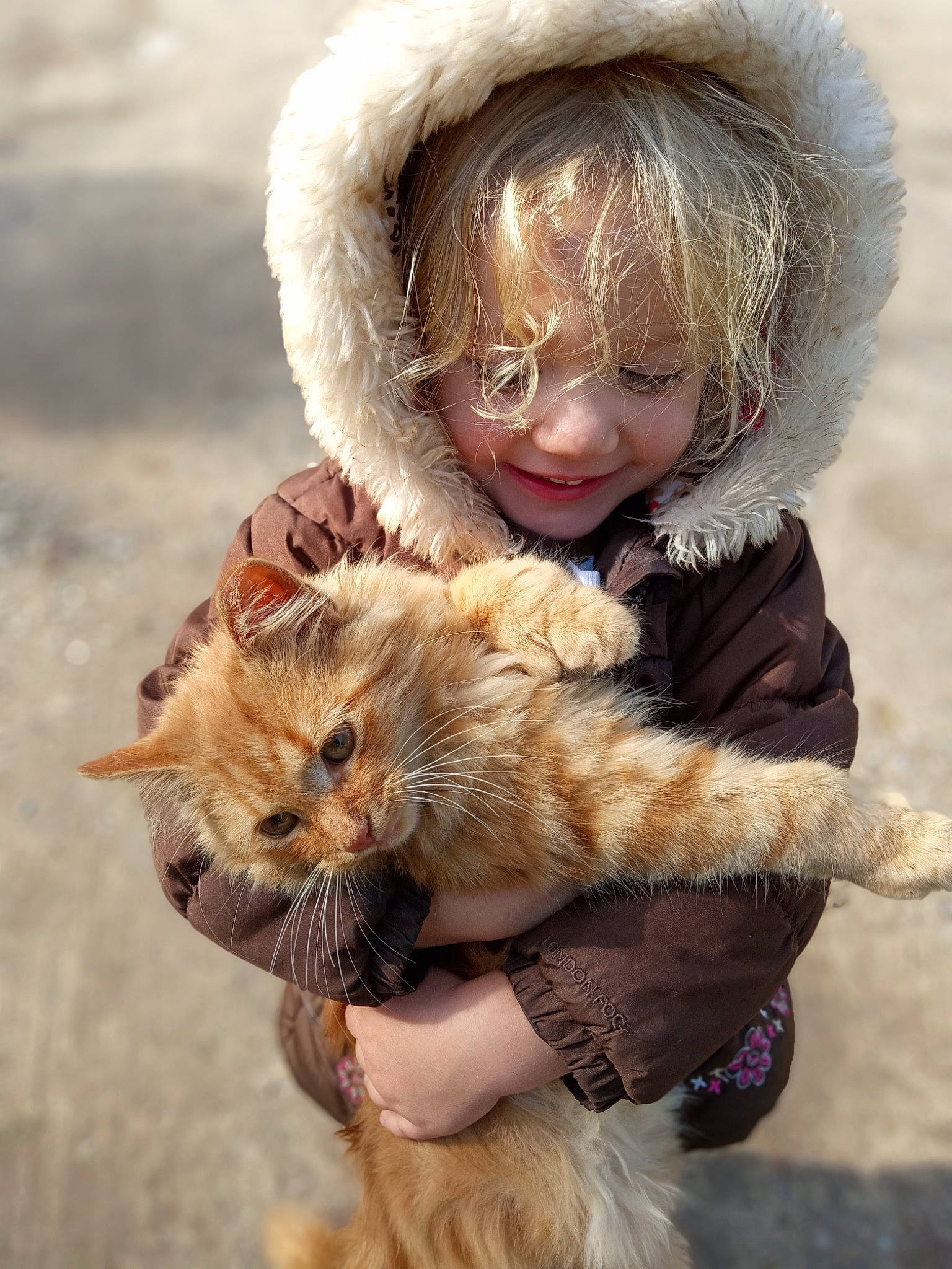 Lexie is registered to the contest to win money with this photo: blond, cap, carnivore, cat, companion_dog, eye, fawn, felidae, fur, fur_clothing, grass, happy, helmet, mammal, people_in_nature, person, small_to_medium_sized_cats, smile, snout, toddler