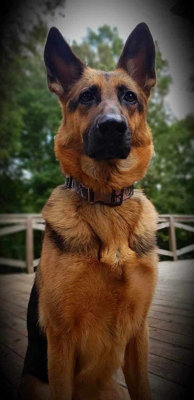 Cali