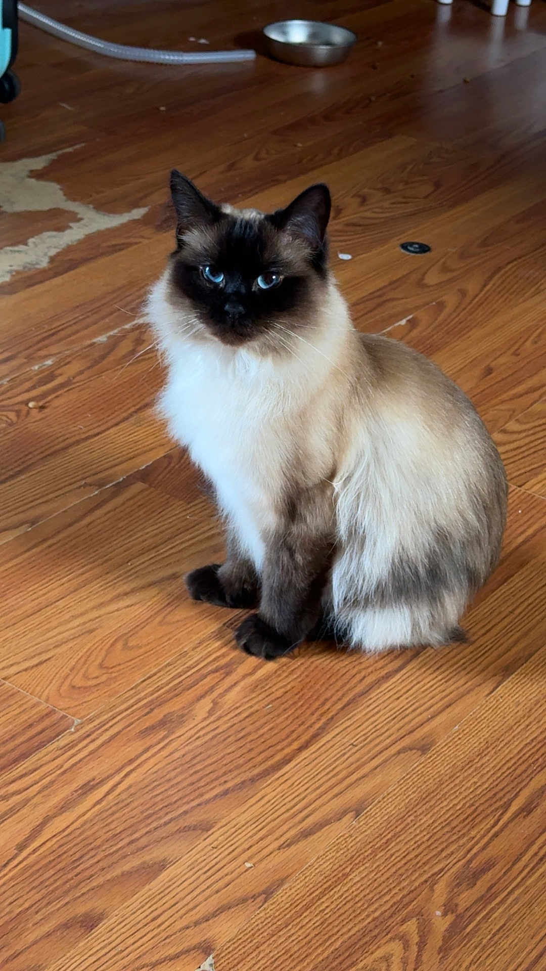 Jinx