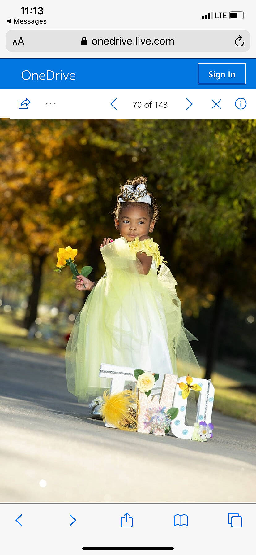 Denver joined the competition — help win amazing prizes! bouquet, bridal_clothing, ceremony, cut_flowers, dress, embellishment, flower_arranging, gown, hair_accessory, happy, headgear, headpiece, joy, lavender, person, petal, tiara, toy, tradition, veil